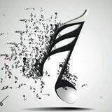 Musikhit Austausch