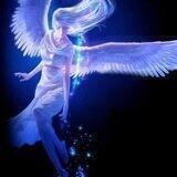 heavenly bird channel پرنده بهشتی