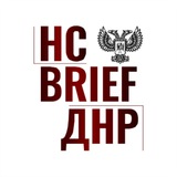 НС ДНР Brief