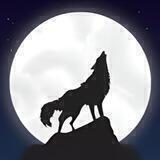 🐺Botonera Wolf🐺