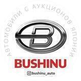 BUSHINUAUTO
