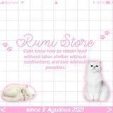 RUMI STORE | OPEN.HIRMIN