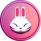 Rabbit Finance 🐰🟪 2023