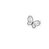 دَعم فَراشة 🤍🦋