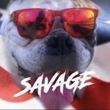 SQvQge Dawg