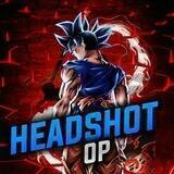 HEADSHOT STORE