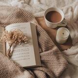 Анастейша, но, к сожалению, не Стил📚