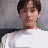 Lee Mark