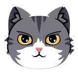 New Community Catcoin