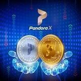 Pandora X