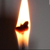 🔥إنّي لأجدُ ريحَ يوسف🦋