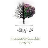مُنَبِّهْ الذِّكْر 🌒
