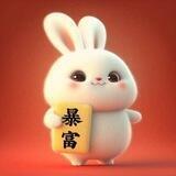 花子快手评论