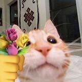 жизнь дашки