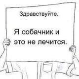 Собачники Катуара🐾
