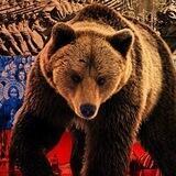 ПРИМОРСКИЙ ZOV❗️Работайте Братья ❗️