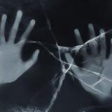 𝑫𝒂𝒓𝒌𝑷𝒂𝒓𝒂𝒅𝒊𝒔𝒆