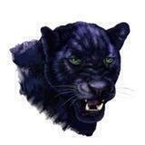 BLOCKLEOPARD🇨🇳 Chinese Group