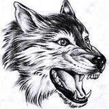 WolfKing狼王社区🇨🇳