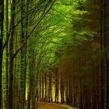 О прекрасном и здоровом🌿