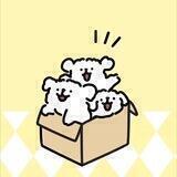 宇宇鱼龙混杂交流讨论群🌻
