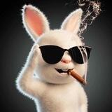 探花深夜精选福利🔞