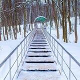 Клуб друзей парка Фили🌳