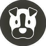 black dog Announcement