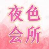 菲妹【夜色】