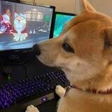 Aha Gif Gp