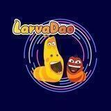 LarvaDAO 🇲🇦8Th-15:00 UTC Presale