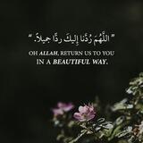 الـقـࢪآטּ الـڪࢪﯾــم