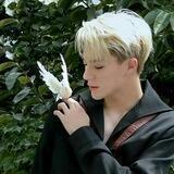 Jeno Lee