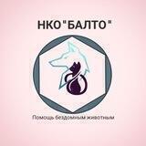 НКО"БАЛТО"@Balto2021vl (ранее "Гарфилд")
