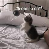 ꢒᴩᴏʙᴇᴩƅ ᴄᴨᵛᵗ