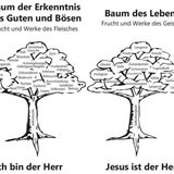 8️⃣🛁&🌳 Rechtswahl: Verstehen und Handeln