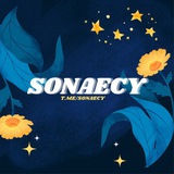 𓂃 ✱ ₊˚ Sonaecy, close