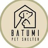 Pet shelter Batumi