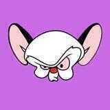 Rat Brain