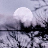 ☾₊ under the moonlight ; full of thousand hopes.