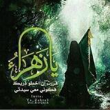 أنوار الزهراء عليها السلام