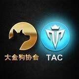 大金狗协会Thaicoin(TAC)中文负责群