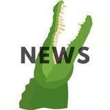 NFTgators 🐊 News 📰