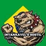 INTANKAVEL O BOSTIL