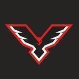 Пинские ястребы | Pinsk Hawks