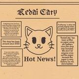 caty talent