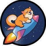 Surge inu