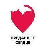Приют «Преданное Сердце»