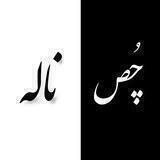 •| ﮼چُص‌ناله |•