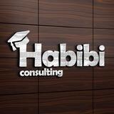 Habibi Consulting channel